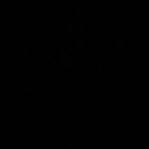 Meet your Posher, Calla